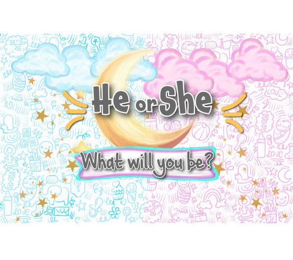 Personalized Party Banner Boy or Girl Gender Reveal 2